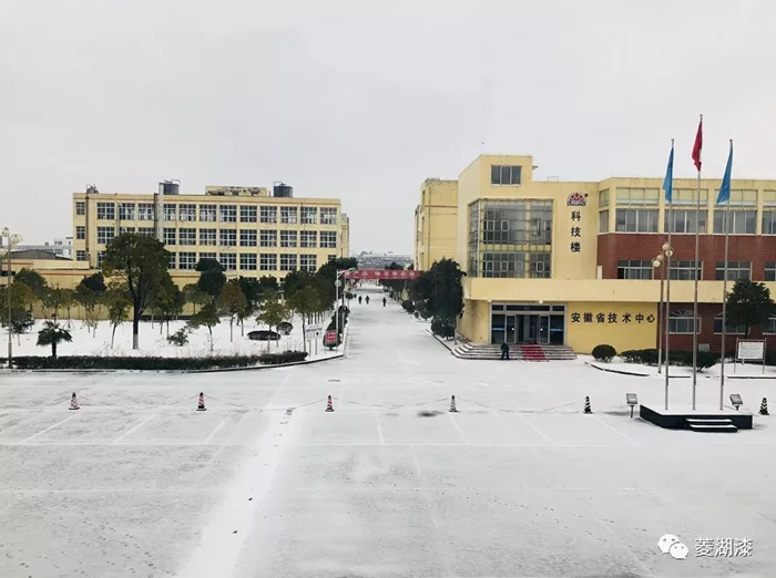 說好的暴雪傾城，是這樣嗎？