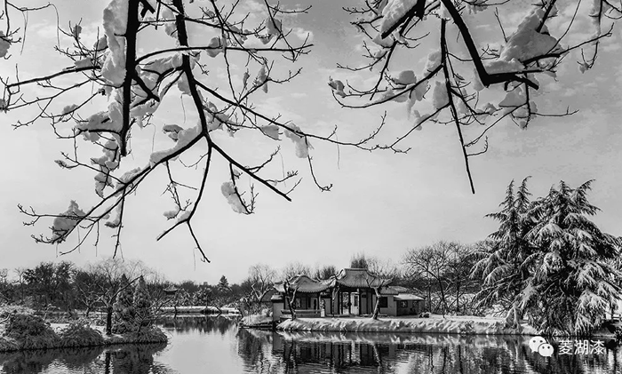 說好的暴雪傾城，是這樣嗎？